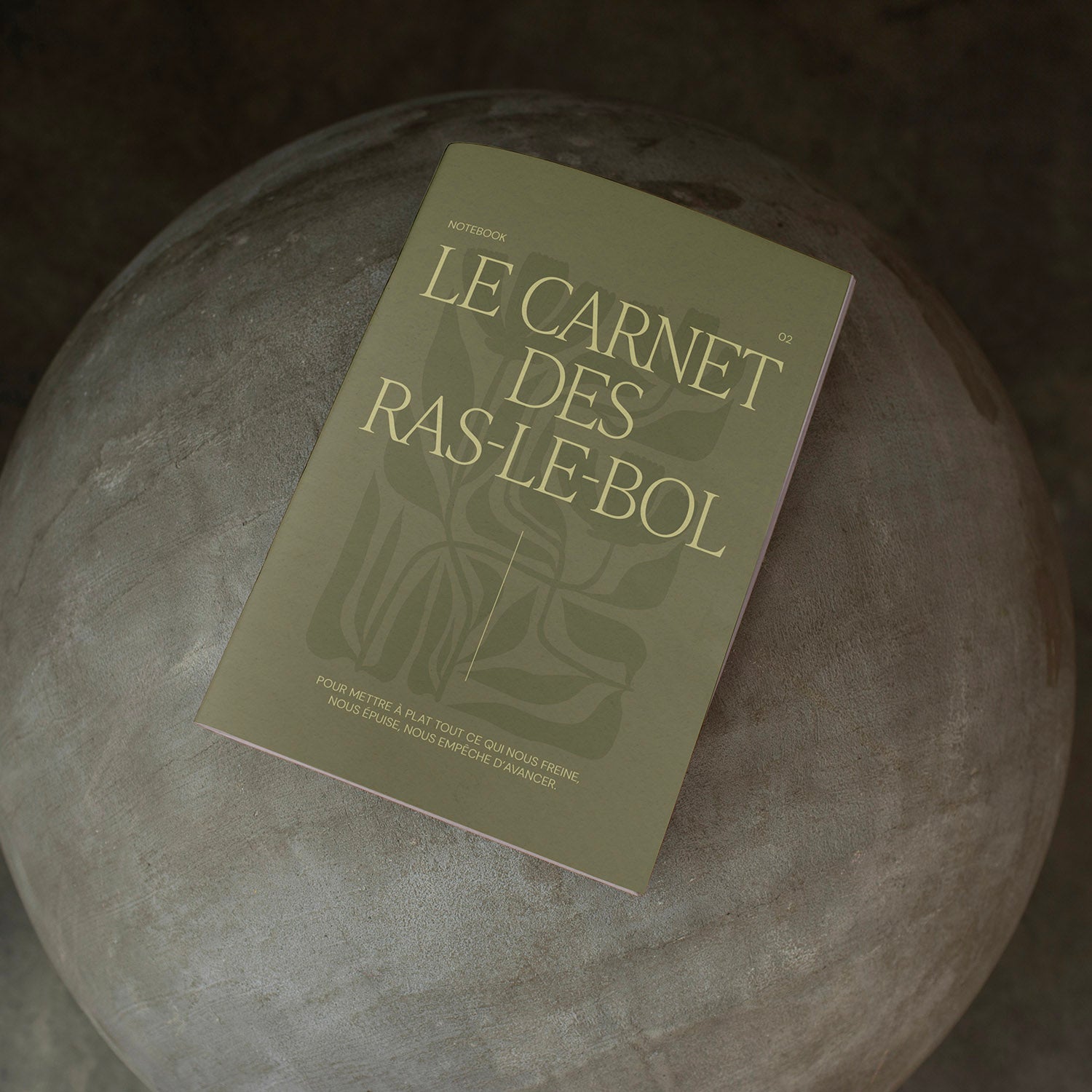 02. Le carnet des ras-le-bol {en pré-commande}