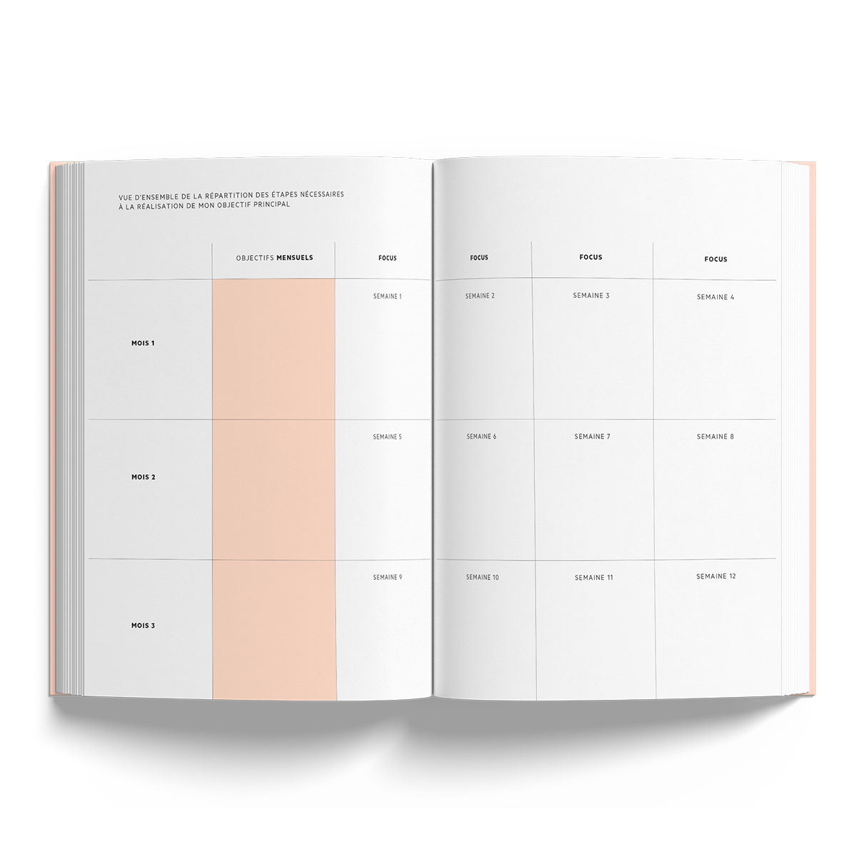 vue interieur du carnet focus, méthode focus, carnet de productivité, pour atteindre ses objectifs rapidement. Vue d'ensemble de la répartition des objectifs