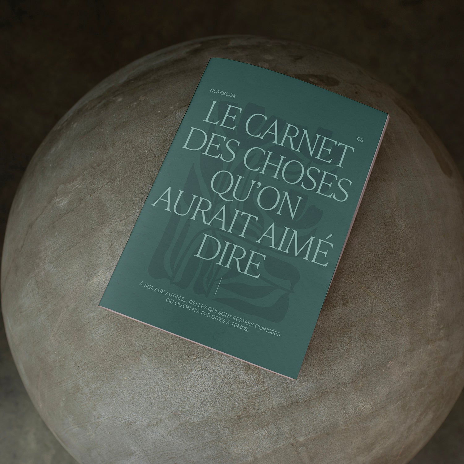 08. Le carnet des choses qu'on aurait aimé dire {en pré-commande}