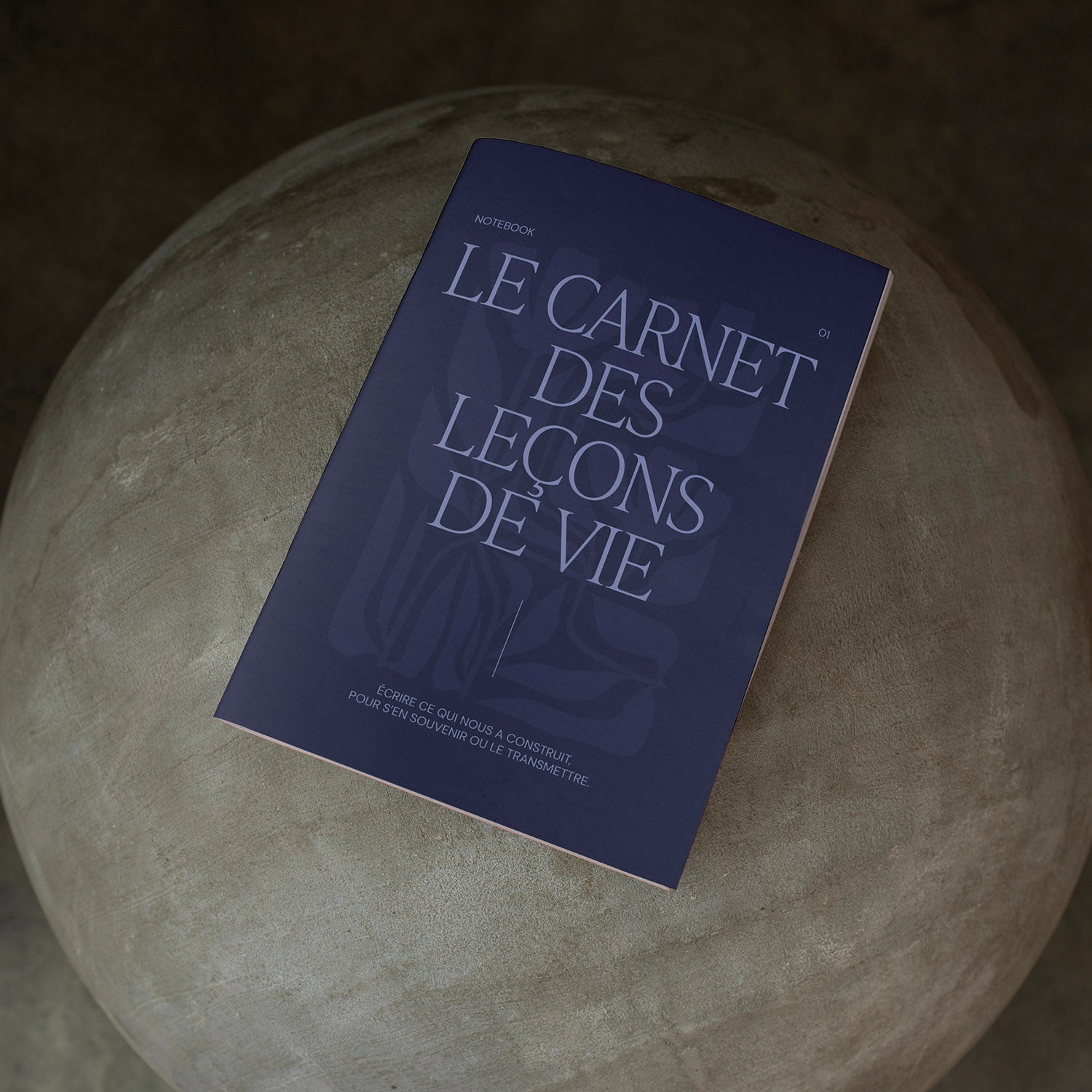 01. Le carnet des leçons de vie {pré-commande}