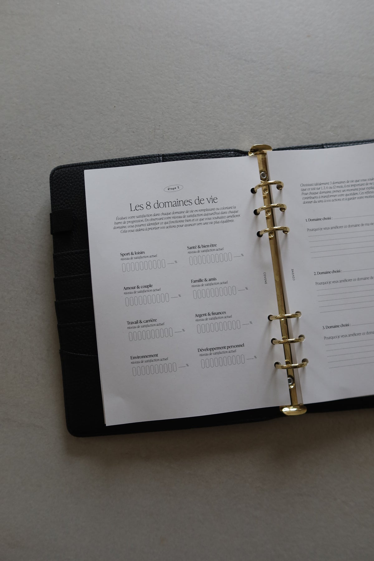 domaines de vie, vision board, insert pour agenda sur mesure, sport et loisir, santé bien etre, amour et couple, famille et amis, travail et carrière, argent et finance, environnement, developpement personnel