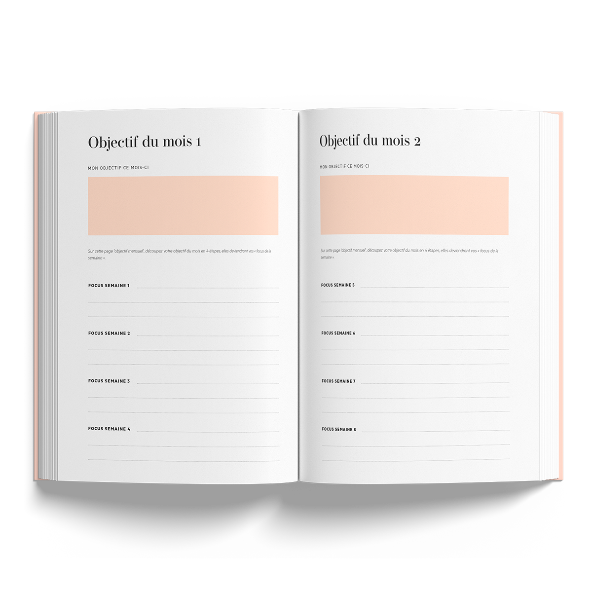 Planner Focus®